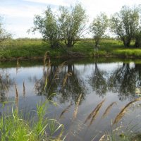 Лето :: Anna Ivanova