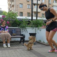 На Чистопрудном бульваре. :: Лютый Дровосек