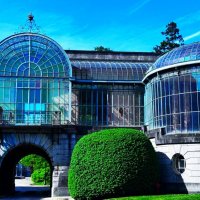 Переходы теплицы Ботанического сада Брюсселя :: Aida10 