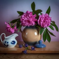 Пионы. :: Анатолий Нецепляев