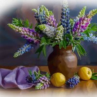 Люпины :: Aleksey Afonin