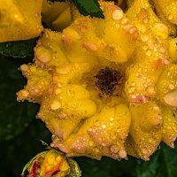 Вам,друзья! :: Осень 