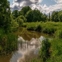 Родные берега 8 :: Андрей Дворников