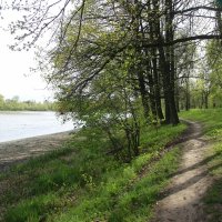 Орловский парк. Тропою острова Любви :: Наталья Герасимова