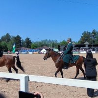 Иппосфера - 2025. :: Ольга 