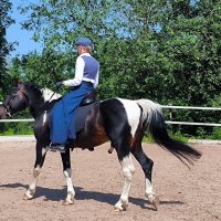 Разминка перед выступлением. :: Ольга 