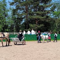 Мэри Поппинс возвращается. :: Ольга 