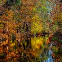 Осень :: Юрий Лев