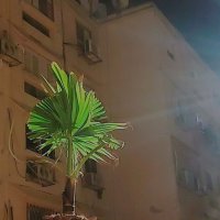 13  ОПЕН (157) :: OPEN WAYS ALL