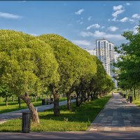 Парки Москвы :: Aleksey Afonin