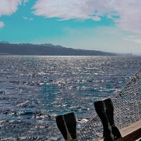 Красное море :: Sergey Grim