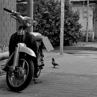 Ну я хозяйка мотоцикла... :: Николай Саржанов Ну я хозяйка мотоцикла... :: Николай Саржанов