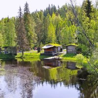 Тишина :: Тамара Вебер