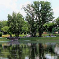 Лето. :: Венера Чуйкова