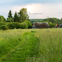 Дорога :: Александр 