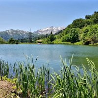 Озеро Партизанская поляна :: Tata Wolf