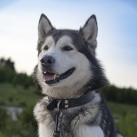 Ярик. :: leff Postnov