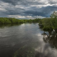 ... :: Жора Житников