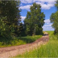 Полевая дорога :: Валентин Котляров