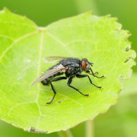 из снятого сегодня 1 :: Александр Прокудин из снятого сегодня 1 :: Александр Прокудин