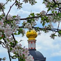 Весна в Варницах :: Михаил Свиденцов