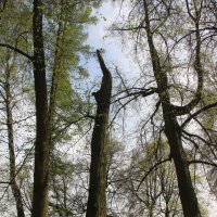 Орловский парк :: Наталья Герасимова Орловский парк :: Наталья Герасимова