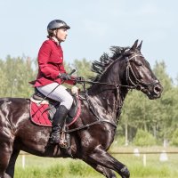 Конкур :: SanSan 