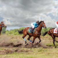 Скачки :: SanSan 