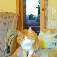 Матильда :: Александр Владимирович Никитенко