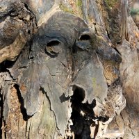 Дарт Вейдер? :: Юрий Вовк Дарт Вейдер? :: Юрий Вовк