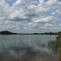 Дон. :: Виктор 