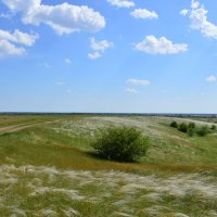 Ковыль. :: Виктор 