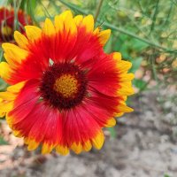 ,,, :: Сергей Тимоновский