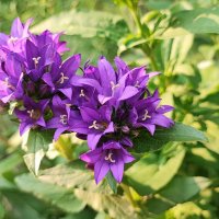 ,,, :: Сергей Тимоновский