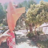 13  ОПЕН (161) :: OPEN WAYS ALL