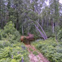 Брод :: Сергей Цветков Брод :: Сергей Цветков