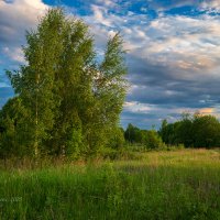 Природа в лугах вечером :: Александр Синдерёв