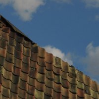 . :: Александр Хоменко