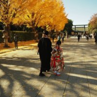 По дороге в японский храм :: Civetta ***