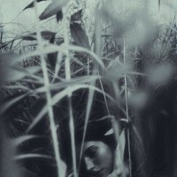 *** :: Евгений Нодвиков