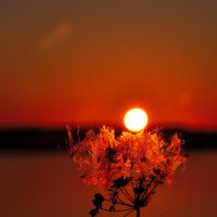 Вечер. :: Михаил Колосов 