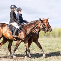 Разминка :: SanSan 