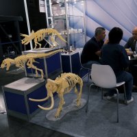 Крокус Принт Упак :: Сергей Золотавин