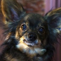 Кузьмич :: kolyeretka 