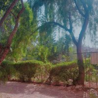 13  ОПЕН (165) :: OPEN WAYS ALL