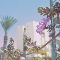 13  ОПЕН (168) :: OPEN WAYS ALL