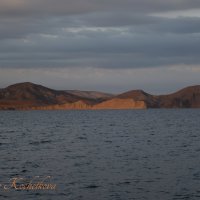 Природа Крыма :: Amazing Cosmea