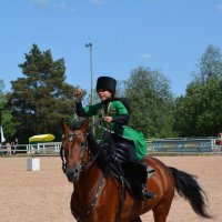 Международная конная выставка "Иппосфера" 2025 :: Николай 