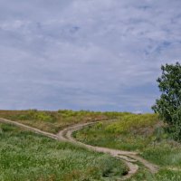 Июнь. :: сергей ермошкин