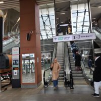 Новый вокзал :: Марина Кушнарева